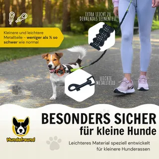 Elastische Hondenriem Kleine Honden tot 15kg Reflecterend 110-160cm — miniatuur 5