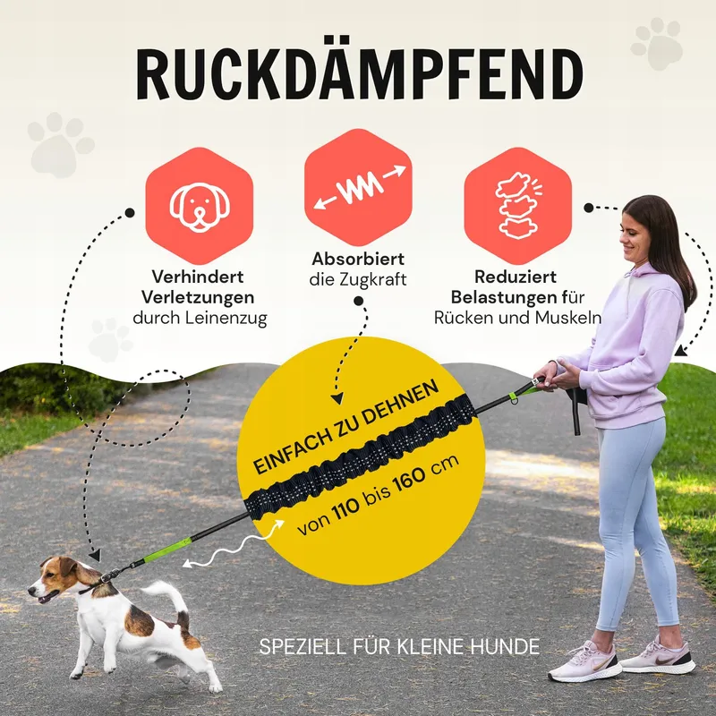Elastische Hondenriem Kleine Honden tot 15kg Reflecterend 110-160cm — foto 4