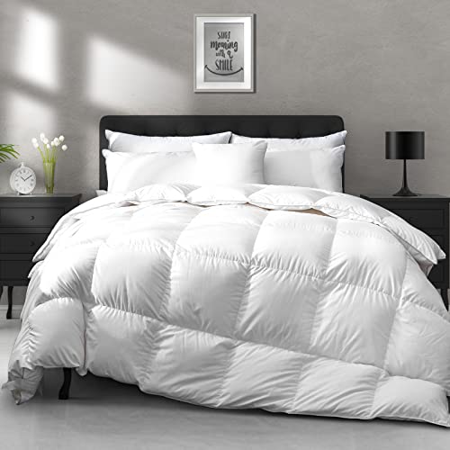 APSMILE Donzen Dekbed Winter Queen 750 Fill Power 90x90 Zacht