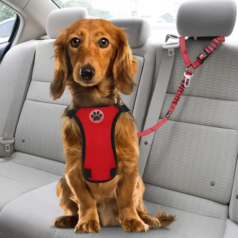 SLOWTON Autogordel Hond 2-in-1 Verstelbaar Reflecterend Rood — foto 3