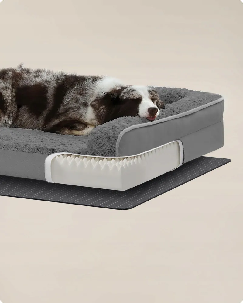 FEANDREA Orthopedisch Hondenbed Groot Waterdicht 106x81x18cm — foto 7