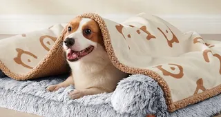 FEANDREA Waterdichte Deken Voor Hond En Kat 73x63cm Beige — miniatuur 8