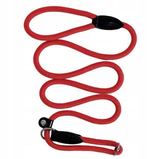 LIONTO Sterke Hondenriem Alle Maten 170cm Rood — miniatuur 1