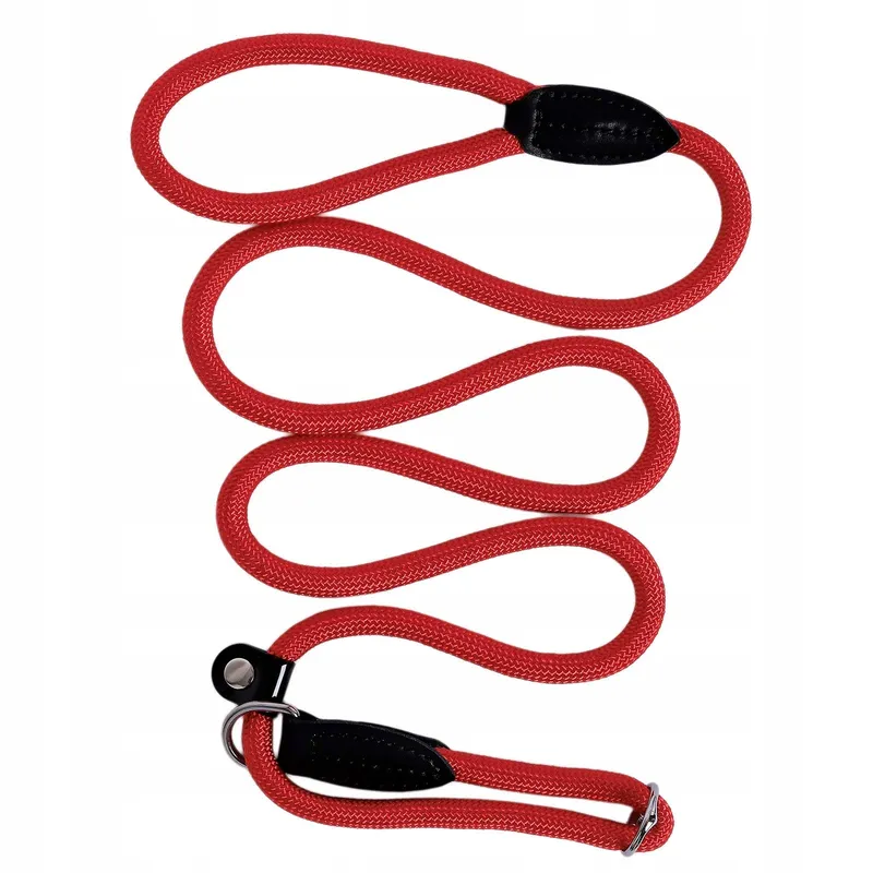 LIONTO Sterke Hondenriem Alle Maten 170cm Rood — foto 1