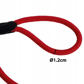 LIONTO Sterke Hondenriem Alle Maten 170cm Rood — miniatuur 5