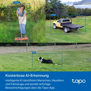 TAPO C501GW Camera 360° 4G LTE SIM Starlight AI 1080P IP66 Geen WiFi — miniatuur 7