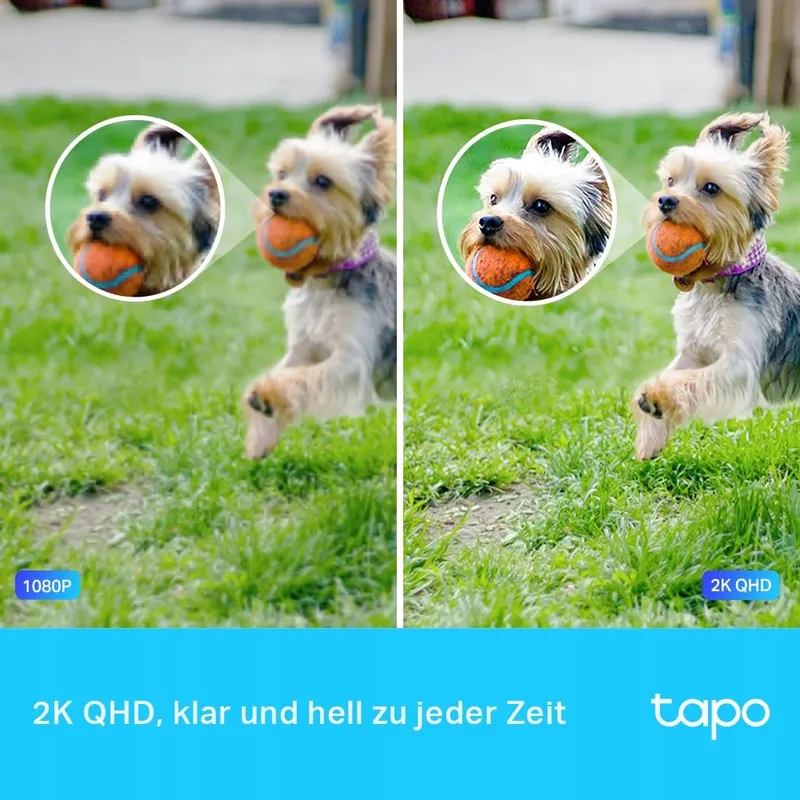 TP-LINK Tapo C320WS Buitencamera 4MP IP66 WiFi Bewegingsdetectie Audio — foto 4