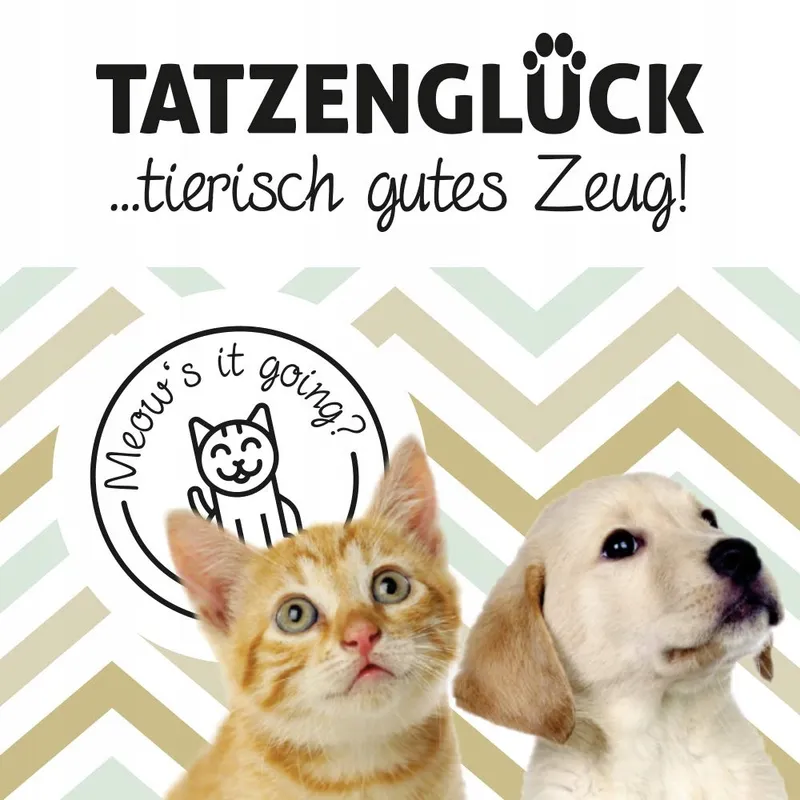 TATZENGLUCK 12 Actieve Koolfilters Voor Waterfontein Huisdieren — foto 3