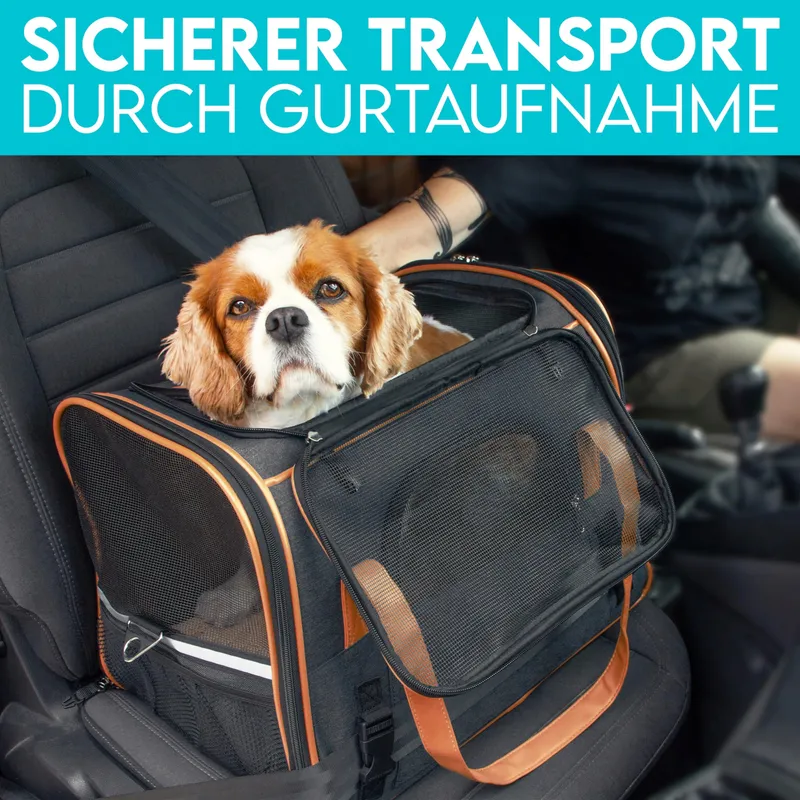 HUND IST KÖNIG Opvouwbare Draagtas Honden en Katten tot 8kg — foto 5