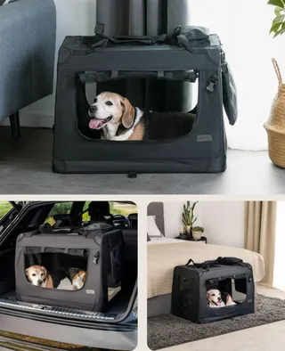 LIONTO Opvouwbare Transportbox Honden Katten tot 15kg Zwart 70x52x50cm — miniatuur 1