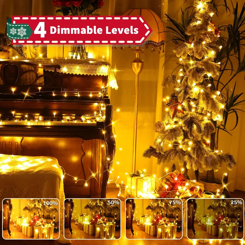 AURIOSTAR Kerstverlichting Buiten Lichtsnoer 80M 800 LED — foto 4