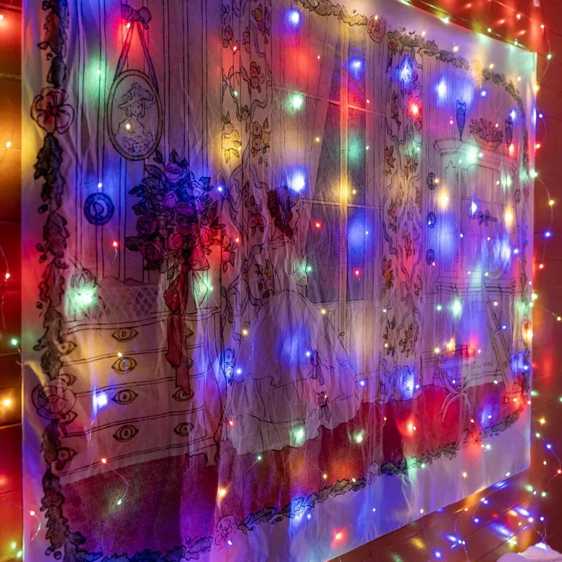 OLLNY LED Lichtgordijn Binnen 2x2m 200 LED USB — foto 5