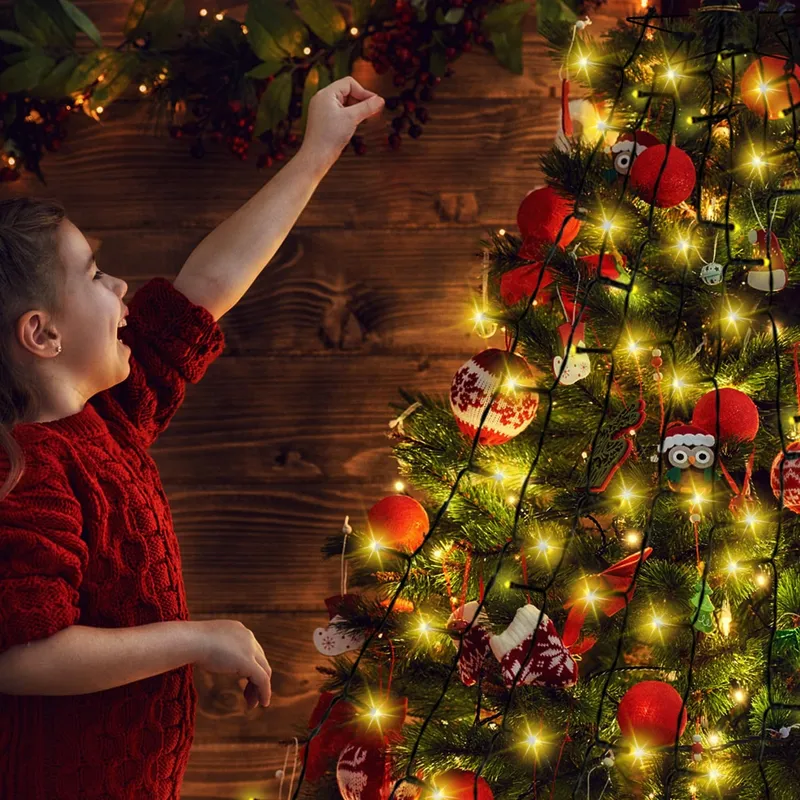NLNEY Kerstboomverlichting 8 Modi 2M 400 LED — foto 6