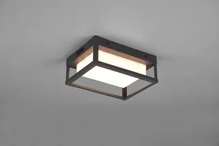TRIO LEUCHTEN Witham LED Buitenwandlamp Instelbare Kleur 14W — miniatuur 9