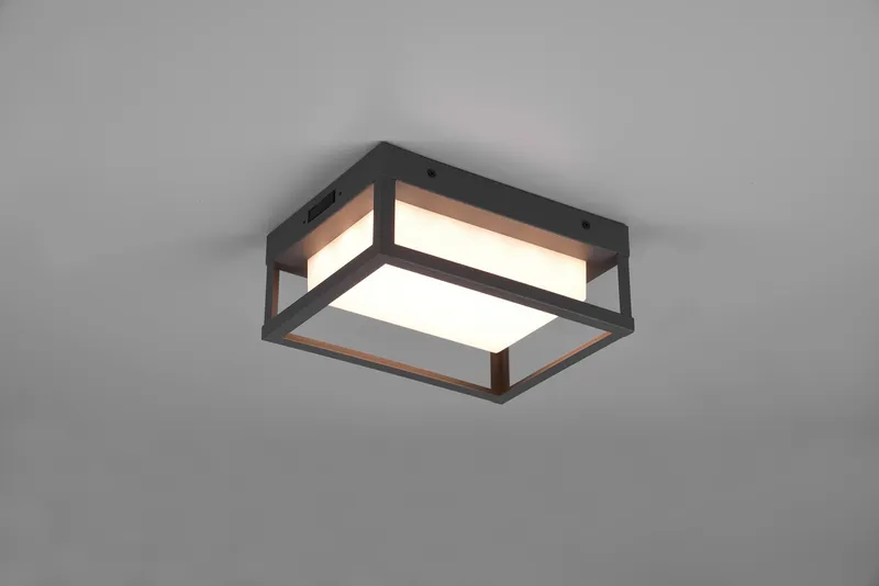 TRIO LEUCHTEN Witham LED Buitenwandlamp Instelbare Kleur 14W — foto 9
