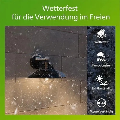 PHILIPS MyGarden Cormorant LED Buitenwandlamp Zwart 42W — foto 5