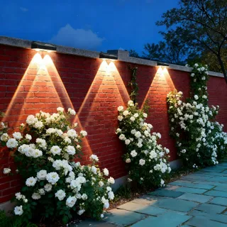 HQYNSS Solarlampen Tuin Waterdicht 3 Standen 4 Stuks IP65 — miniatuur 5
