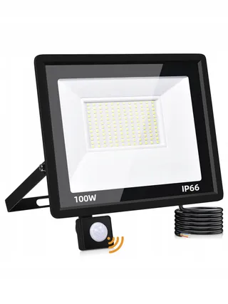 LITGLOBE LED Schijnwerper Buiten Met Bewegingsmelder 100W 10000LM IP66 — miniatuur 1