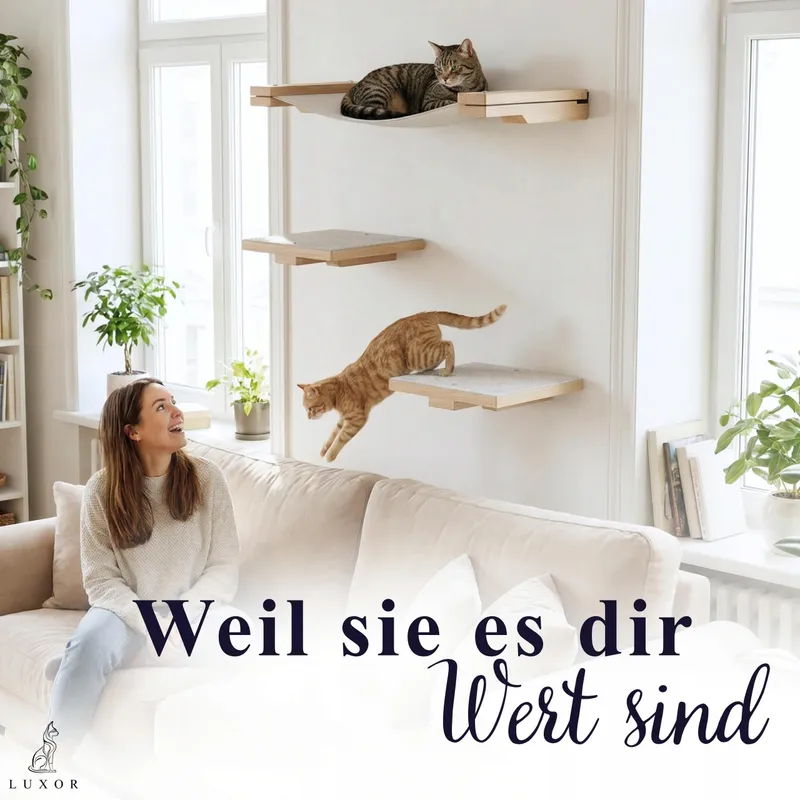 LUXOR Kattenklimwand Met Hangmat Trapjes Hout Staal — foto 9