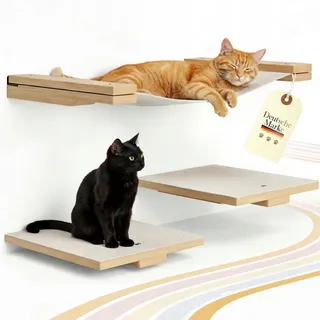 LUXOR Kattenklimwand Met Hangmat Trapjes Hout Staal