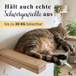 LUXOR Kattenklimwand Met Hangmat Trapjes Hout Staal — miniatuur 5