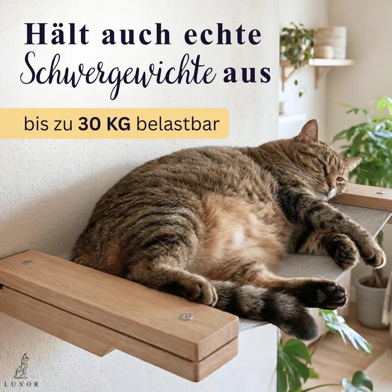 LUXOR Kattenklimwand Met Hangmat Trapjes Hout Staal — foto 5