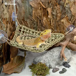 NITEANGEL Reptielenhangmat Ligplaats voor Hagedissen Slangen Iguana's — miniatuur 5