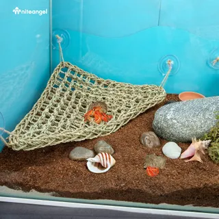 NITEANGEL Reptielenhangmat Ligplaats voor Hagedissen Slangen Iguana's — miniatuur 7