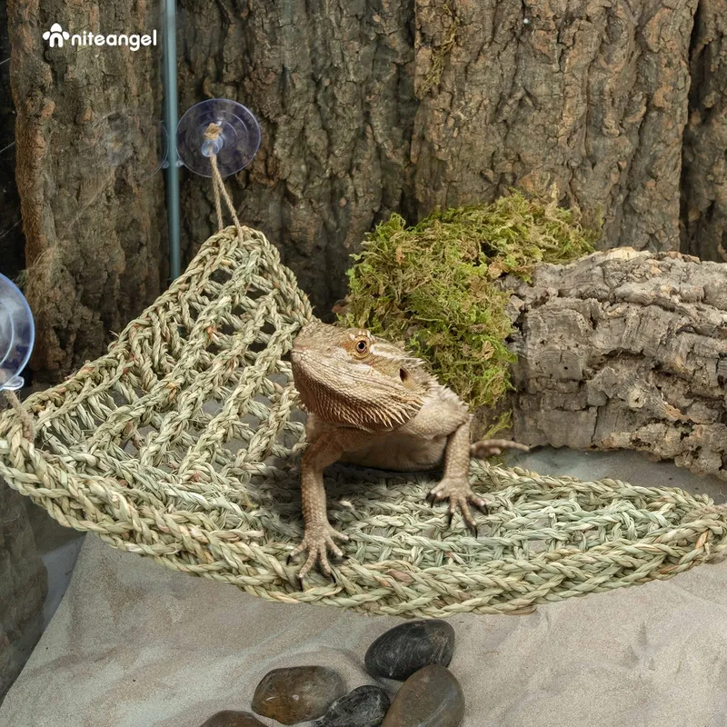 NITEANGEL Reptielenhangmat Ligplaats voor Hagedissen Slangen Iguana's — foto 6