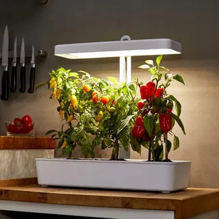 NORTHPOINT LED Plantenlamp Hydrocultuur Kruidentuin Timer 22W 1350lm — miniatuur 5