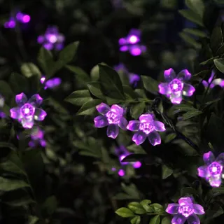 KINGCOO Solar Bloemlampjes Waterdicht Tuin Paars 7M 50 LED — miniatuur 3
