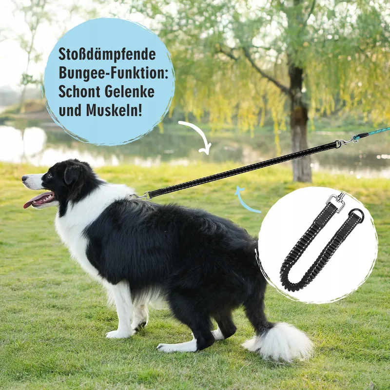 Bungee Hondenriem 20M Met Handvatten Middelgrote Grote Honden — foto 2