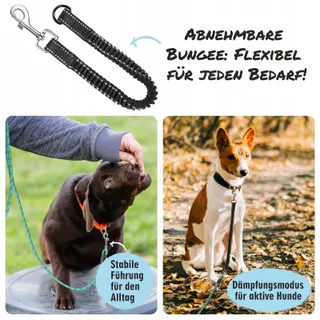 Bungee Hondenriem 20M Met Handvatten Middelgrote Grote Honden — miniatuur 6