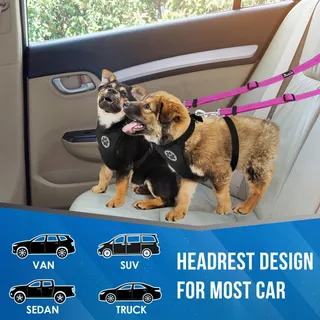 SLOWTON Dubbele Veiligheidsgordel voor Honden Auto — miniatuur 4