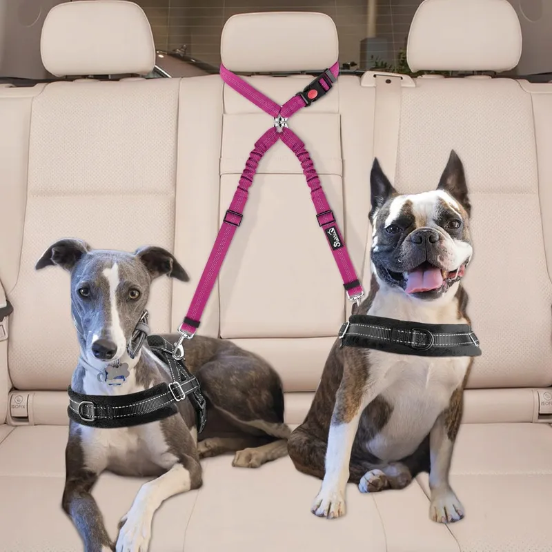 SLOWTON Dubbele Veiligheidsgordel Hond Auto VX — foto 4