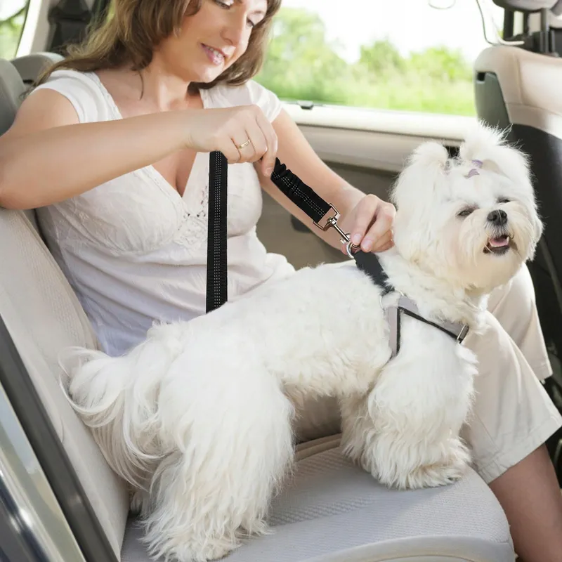 NUTABEVR Verstelbare Veiligheidsgordel Hond Kat Auto — foto 4