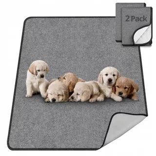 TAIKURA Wasbare Huisdiermat 70x100cm Super Absorberend Antislip — miniatuur 1