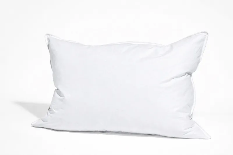 WERELD VAN BEDDENGOED Donzen Kussen Laag 50x70 700g 70% Dons — foto 3