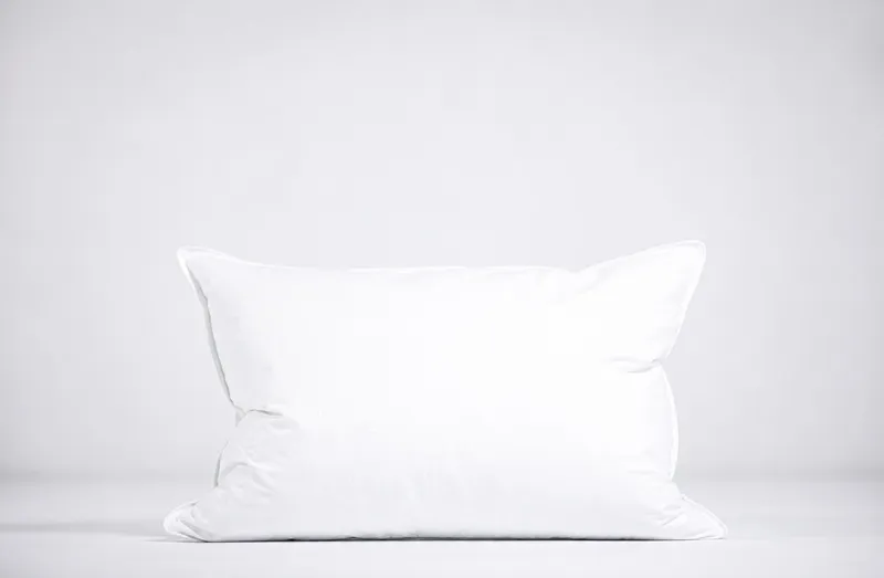 WERELD VAN BEDDENGOED Donzen Kussen Laag 50x70 700g 70% Dons — foto 2