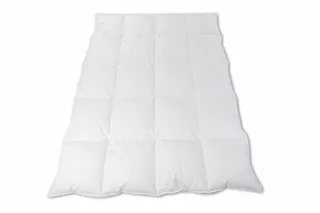 WERELD VAN BEDDENGOED Donzen Dekbed Lente Herfst 135x200 100% Ganzendons — miniatuur 10
