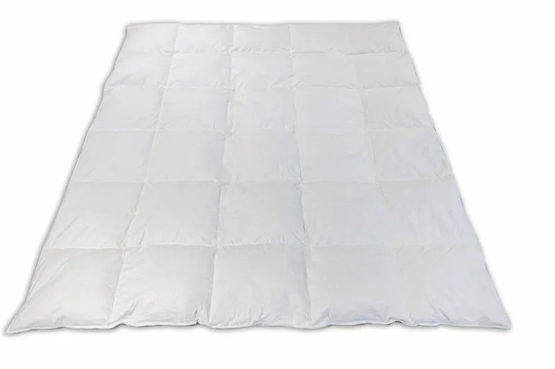 WERELD VAN BEDDENGOED Donzen Dekbed Doorlopend 200x200 1300g Ganzendons — foto 3