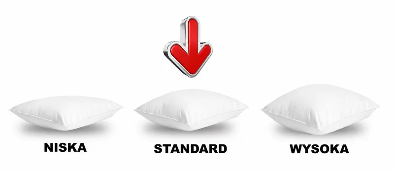 WERELD VAN BEDDENGOED Donzen Kussen Standaard 50x60 800g 70% Dons — foto 4