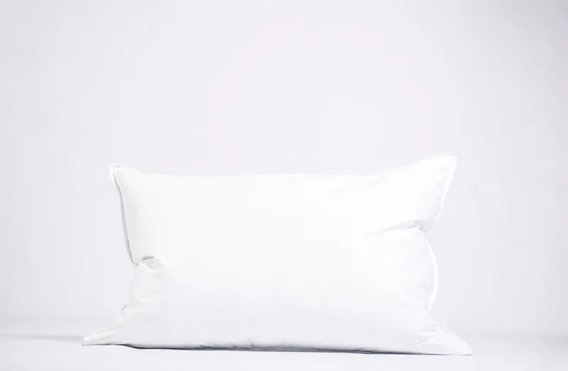 WERELD VAN BEDDENGOED Donzen Kussen Laag 50x70 700g 70% Dons — foto 13
