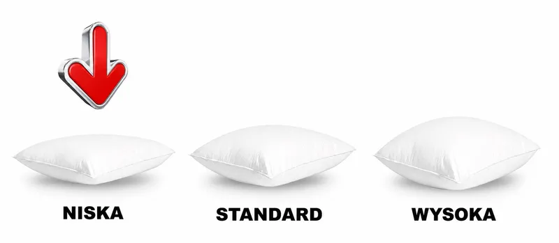 WERELD VAN BEDDENGOED Donzen Kussen Laag 45x45 350g 70% Dons — foto 4