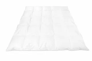 WERELD VAN BEDDENGOED Donzen Dekbed Winter 180x200 1300g Katoen Ganzendons — miniatuur 12