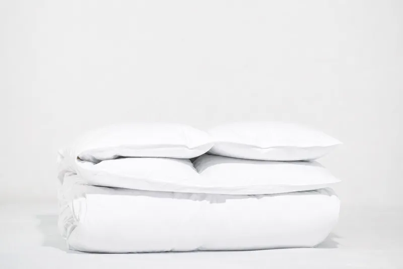 WERELD VAN BEDDENGOED Donzendekbed Winter 155x220 1250g Ganzendons — foto 5